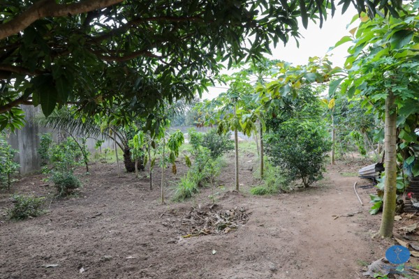 Benin Waisenheim 2023, Bild 19