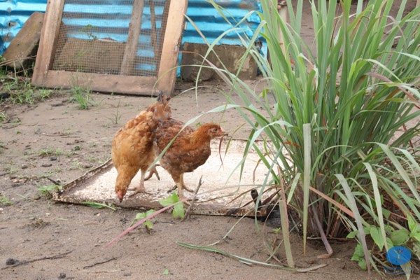 Benin Waisenheim 2023, Bild 62