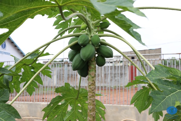 Benin Waisenheim 2023, Bild 67